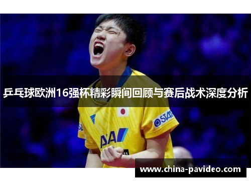乒乓球欧洲16强杯精彩瞬间回顾与赛后战术深度分析