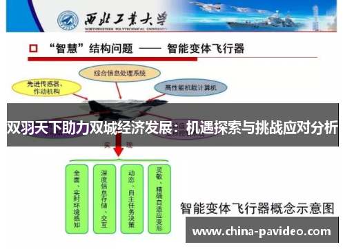 双羽天下助力双城经济发展：机遇探索与挑战应对分析