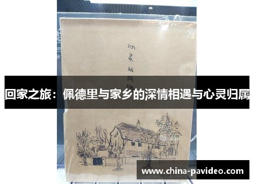 回家之旅：佩德里与家乡的深情相遇与心灵归属