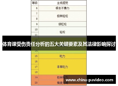 体育课受伤责任分析的五大关键要素及其法律影响探讨