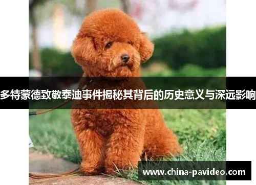 多特蒙德致敬泰迪事件揭秘其背后的历史意义与深远影响