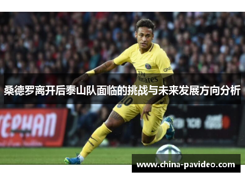 桑德罗离开后泰山队面临的挑战与未来发展方向分析