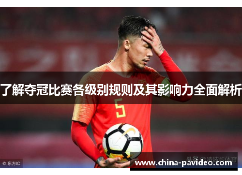 了解夺冠比赛各级别规则及其影响力全面解析