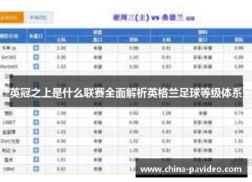 英冠之上是什么联赛全面解析英格兰足球等级体系