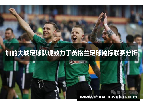 加的夫城足球队现效力于英格兰足球锦标联赛分析 加的夫城足球队现效力于英格兰足球锦标联赛分析