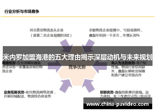 米内罗加盟海港的五大理由揭示深层动机与未来规划